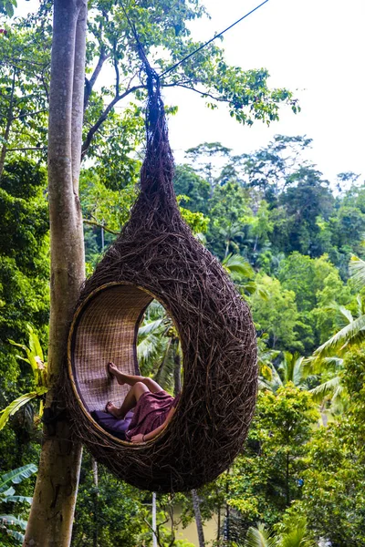 Eine Touristin Sitzt Auf Einem Großen Vogelnest Auf Einem Baum — Stockfoto