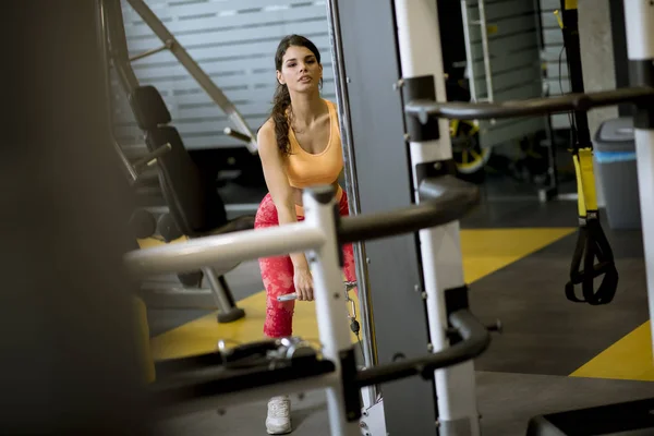 Young woman using straight bar cable to pull up weights to exercise biceps in the gym