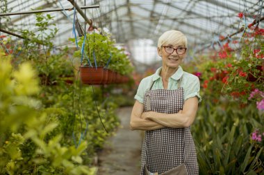 Greengarden bahar çiçekleri ile çalışan iyi görünümlü yaşlı kadın görünümü
