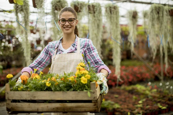 Mooie Jonge Vrouw Met Een Houten Doos Vol Met Bloemen — Stockfoto