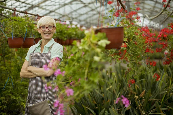 Greengarden bahar çiçekleri ile çalışan iyi görünümlü yaşlı kadın görünümü