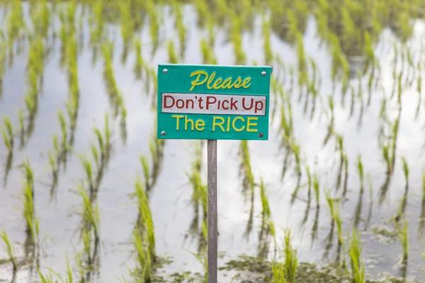 Sinal Alerta Turistas Campos Arroz Jatiluwih Sudeste Bali Indonésia — Fotografia de Stock