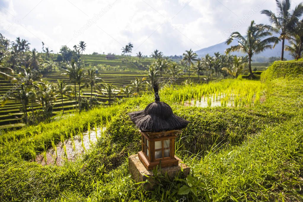 Small altar at rice fields of Jatiluwih in southeast Bali, Indonesia