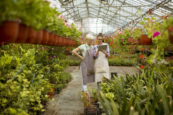 Floristería Moderna Senior Joven Mujeres Que Seleccionan Flores Mientras Buscan — Foto de Stock