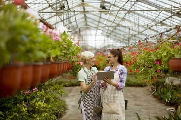 Senior Young Modern Florist Women Selecting Flowers While Looking Instructions — Stock Photo, Image