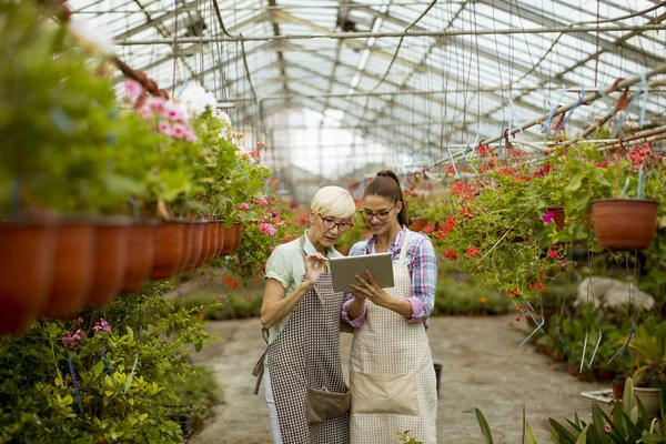 デジタルタブレットからの指示を見ながら花を選択するシニアと若い近代的な花屋の女性 — ストック写真