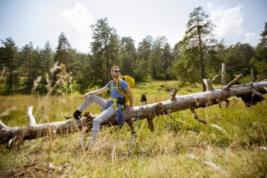 Genç yürüyüşçü bir düşmüş ağaç üzerinde oturan ve güneşli bir günde istirahat