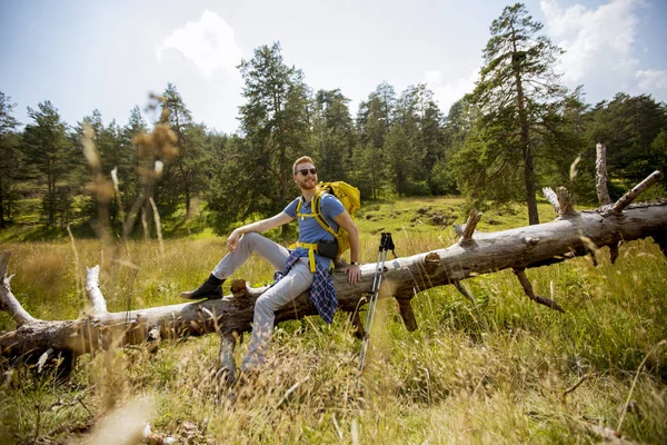 Junger Wanderer Sitzt Auf Einem Gefällten Baum Und Ruht Sich — Stockfoto