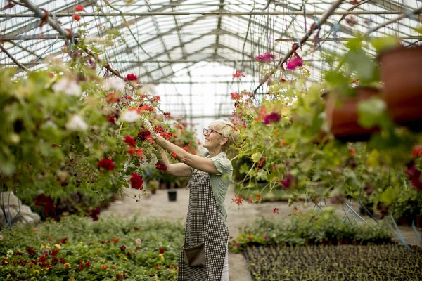 Portrait Femme Âgée Travaillant Dans Jardin Fleurs — Photo