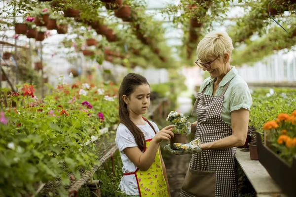 Nonna Suo Nipote Godono Giardino Con Fiori — Foto Stock