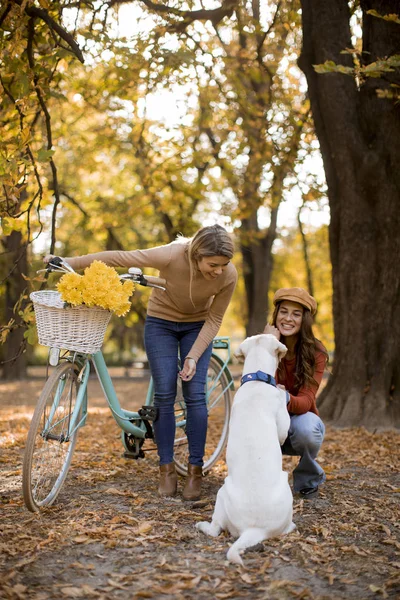 Två Unga Kvinnliga Vänner Går Den Gula Höstparken Med Hund — Stockfoto