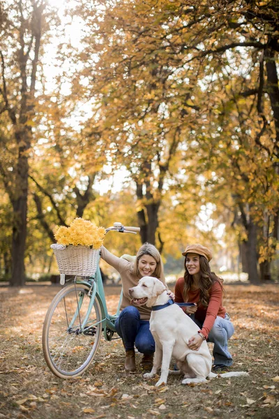 Duas Jovens Amigas Caminhando Parque Amarelo Outono Com Cachorro Bicicleta — Fotografia de Stock