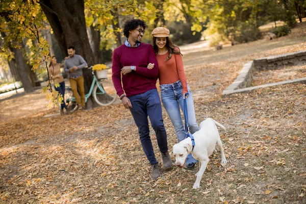 Junges Paar Geht Mit Hund Herbstpark Spazieren — Stockfoto