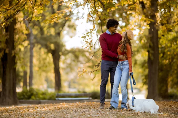 Молодая Многорасовая Пара Гуляющая Собакой Осеннем Парке — стоковое фото
