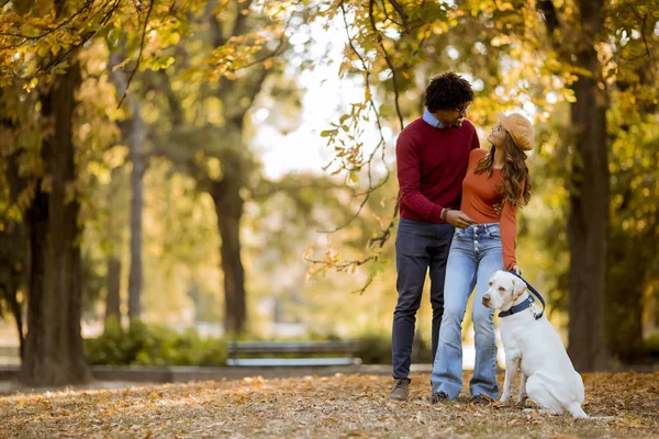 Casal Jovem Multirracial Andando Com Cão Parque Outono — Fotografia de Stock