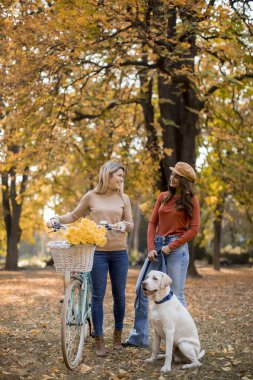 Sarı sonbahar parkında köpek ve bisikletle yürüyen iki genç bayan arkadaş.
