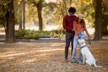 Sonbahar parkında köpekle yürüyen çok ırklı genç bir çift.