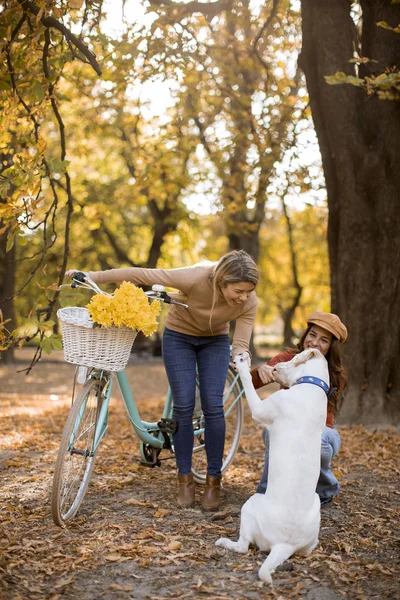 Two Young Female Friends Walking Yellow Autumn Park Dog Bicycle — Stock Photo, Image