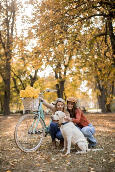 黄色の秋の公園を犬と自転車で歩く2人の若い女性の友人 — ストック写真