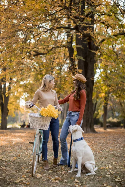 Dvě Mladé Kamarádky Procházející Žlutém Podzimním Parku Psem Kolem — Stock fotografie