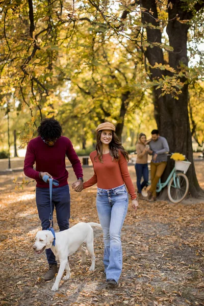 Multirazziale Giovane Coppia Piedi Con Cane Nel Parco Autunnale — Foto Stock