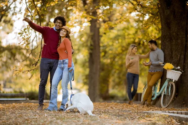 Multiracial Mladý Pár Chůze Psem Podzimním Parku — Stock fotografie