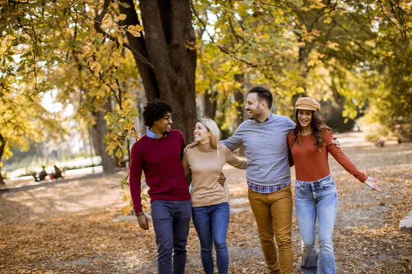 Bir Grup Çok Irklı Genç Sonbahar Parkında Yürüyor Eğleniyor — Stok fotoğraf