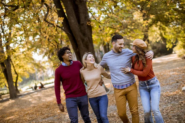 Bir Grup Çok Irklı Genç Sonbahar Parkında Yürüyor Eğleniyor — Stok fotoğraf