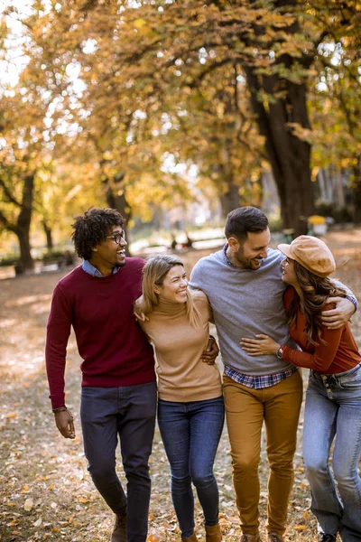 Skupina Multiraciálních Mladých Lidí Procházejících Podzimním Parku Bavících — Stock fotografie