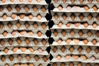 Karton bir pakette taze tavuk yumurtası yığını