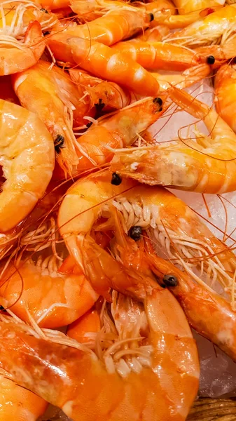 Crevettes Rouges Fraîches Marché Aux Poissons — Photo