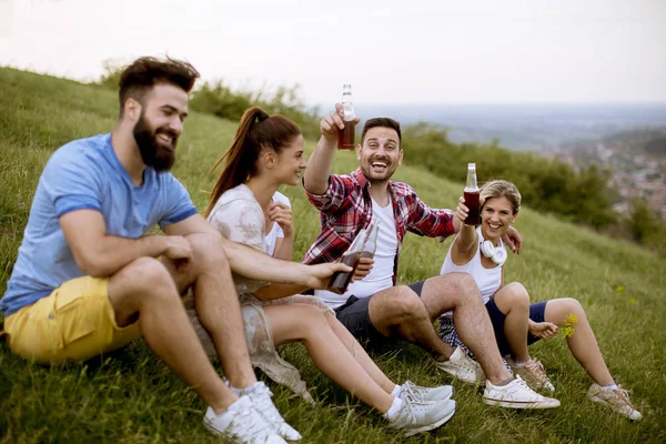 Grupa Szczęśliwych Młodych Przyjaciół Siedzi Trawie Wzgórzu Pije Cydr — Zdjęcie stockowe