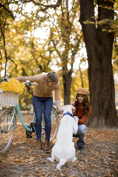 黄色の秋の公園を犬と自転車で歩く2人の若い女性の友人 — ストック写真