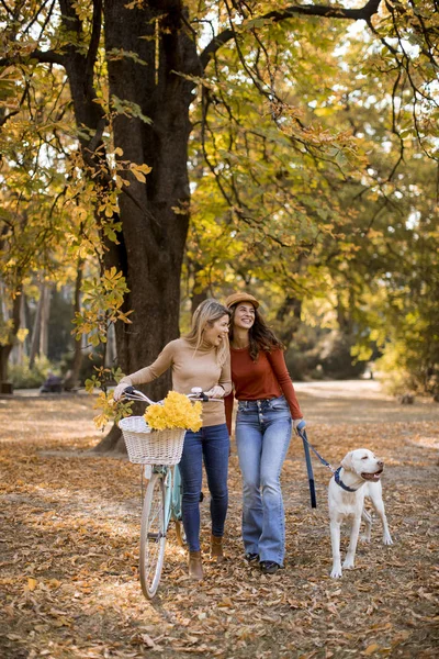 Двоє Молодих Друзів Гуляють Жовтому Осінньому Парку Собакою Велосипедом — стокове фото
