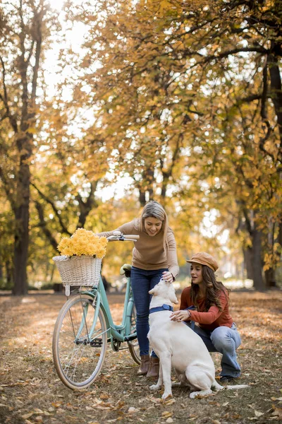 Duas Jovens Amigas Caminhando Parque Amarelo Outono Com Cachorro Bicicleta — Fotografia de Stock