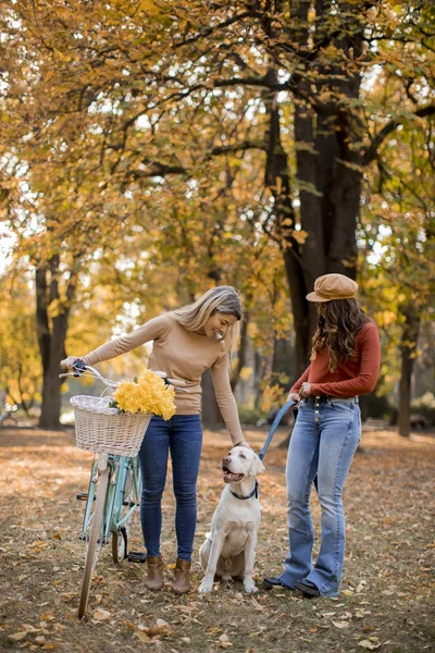 Due Giovani Amiche Che Passeggiano Nel Giallo Parco Autunnale Con — Foto Stock