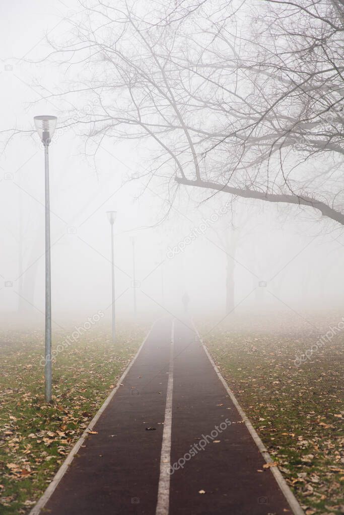 View at bike path in the foggy winter day