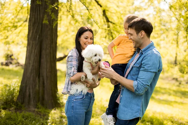 公園でかわいい二本の犬と幸せな若い家族 — ストック写真