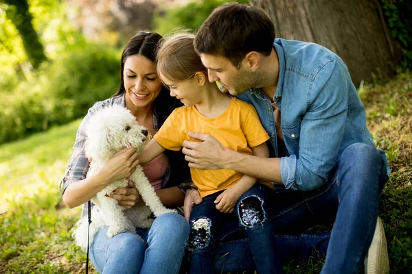 Parkta Şirin Bir Bizon Köpeği Olan Mutlu Genç Bir Aile — Stok fotoğraf