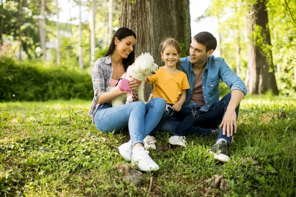 Joyeux Jeune Famille Avec Chien Bichon Mignon Dans Parc — Photo