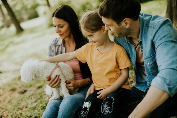 公園でかわいい二本の犬と幸せな若い家族 — ストック写真