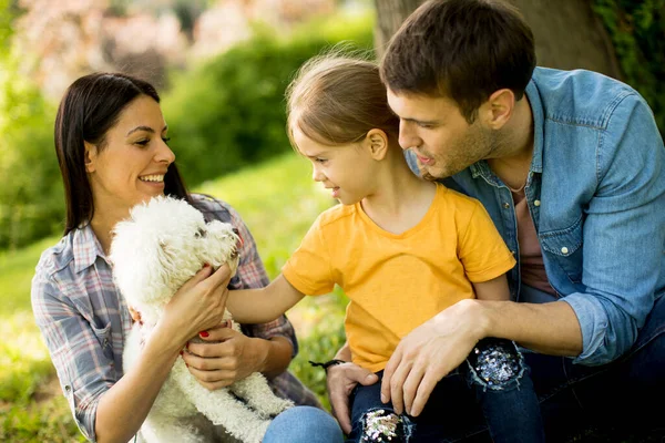 Happy Young Family Cute Bichon Dog Park — Stock Photo, Image