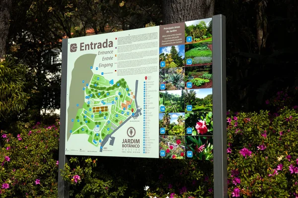 Funchal Portugal Februari 2020 Detail Van Botanische Tuin Van Madeira — Stockfoto