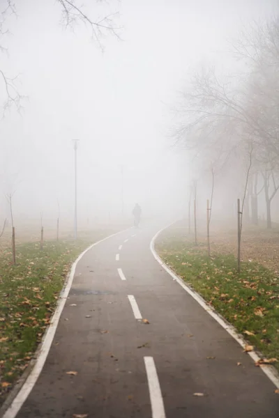 View at bike path in the foggy winter day