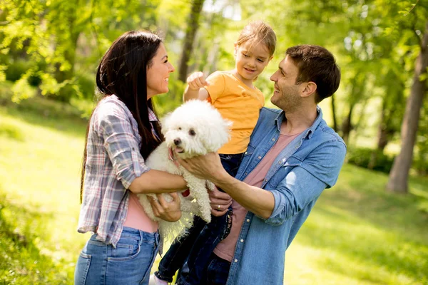 Счастливая Молодая Семья Симпатичной Собакой Бихон Парке — стоковое фото
