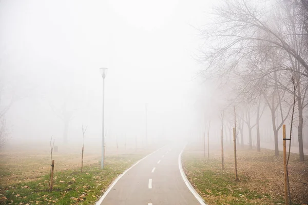 Blick Auf Radweg Nebligen Wintertag — Stockfoto