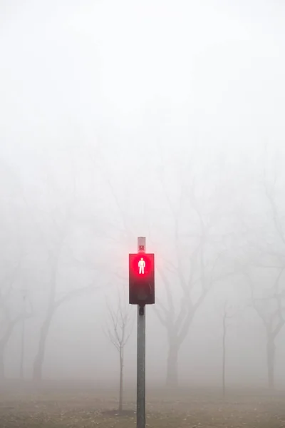 View Traffic Lights Foggy Winter Day — Stock Photo, Image