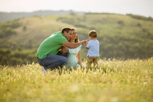 Young Family Having Fun Outdoors Summer Field — Stock Photo, Image