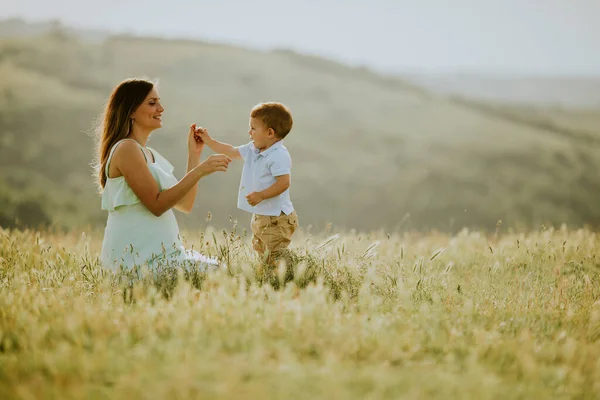 美丽的夏日 年轻的孕妇和她可爱的小男孩在田里 — 图库照片