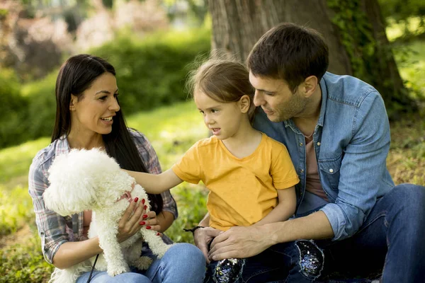 Happy Young Family Cute Bichon Dog Park — Stock Photo, Image